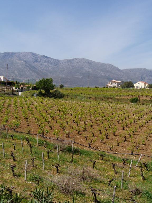 Christina Villas- Minoan Inland Pentamodi ภายนอก รูปภาพ
